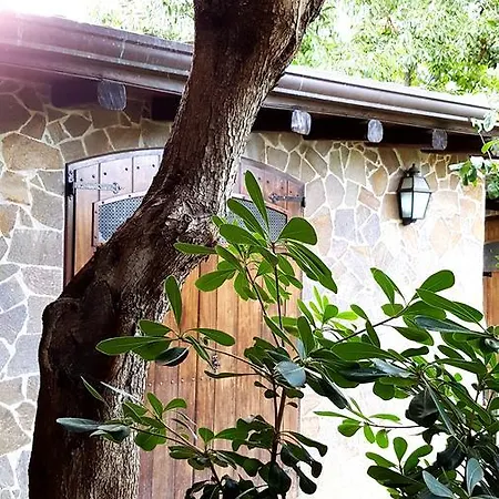 Casa Terrazzo Di Edera * Palermo