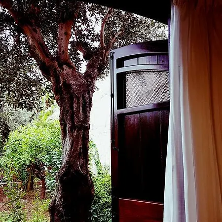 Casa Terrazzo Di Edera * Palermo